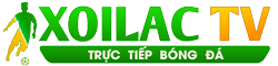 tình như mơ đời như mộng